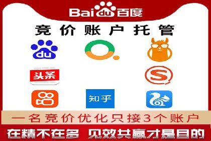 百度竞价与搜索引擎优化（SEO）的协同效应案例